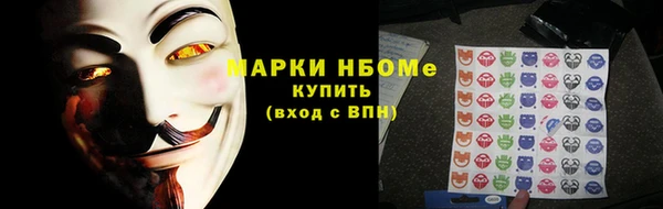 индика Богородицк