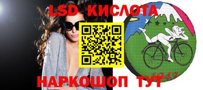 Альфа ПВП Гусев