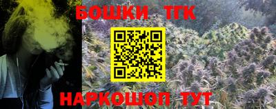 крисы Аргун