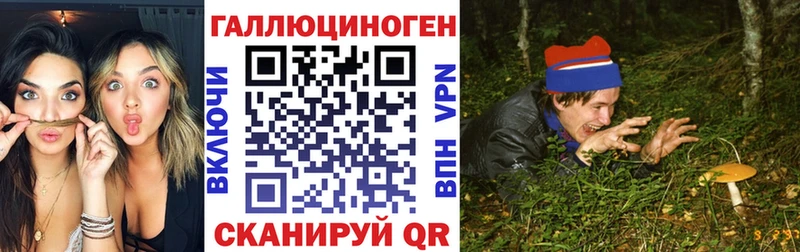 Псилоцибиновые грибы Cubensis  даркнет сайт  Подольск 