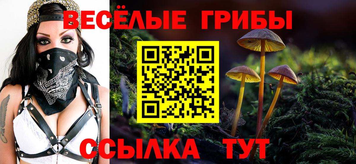 Псилоцибиновые грибы Cubensis  Вход с VPN  Псилоцибиновые грибы ЛСД  продажа наркотиков  Подольск 
