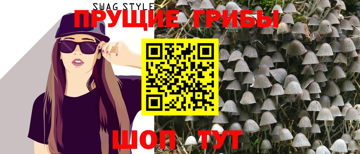 Псилоцибиновые грибы мицелий Подольск