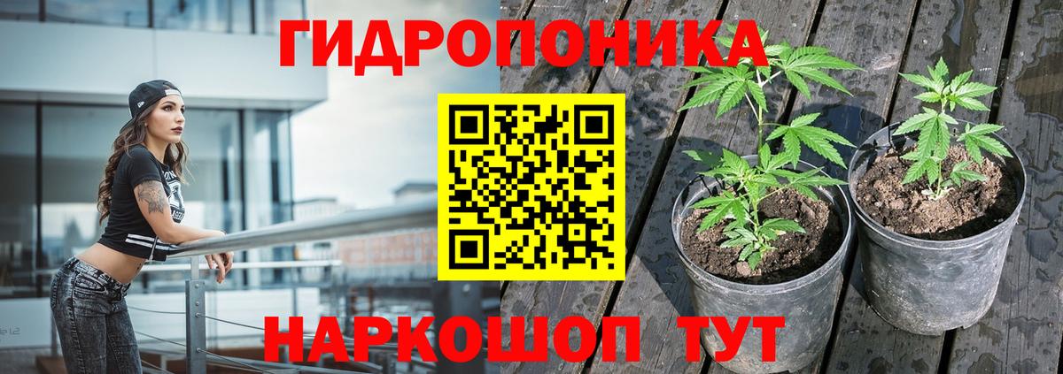 Марихуана Bruce Banner  Бошки марихуана White Widow  Подольск  Вход с VPN 